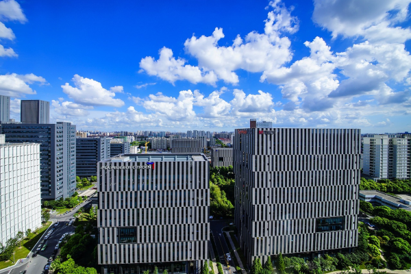 石家庄市网站建设的发展与推动力