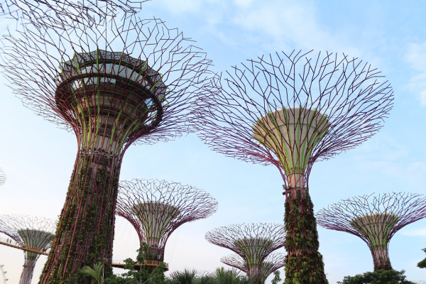 旅游网站建设的背景与重要性，旅游网站建设背景怎么写