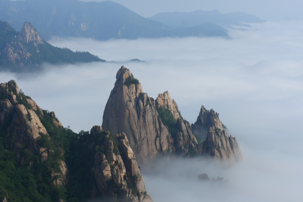 黄山SEO自然优化，探索与实践，黄山seo自然优化公司