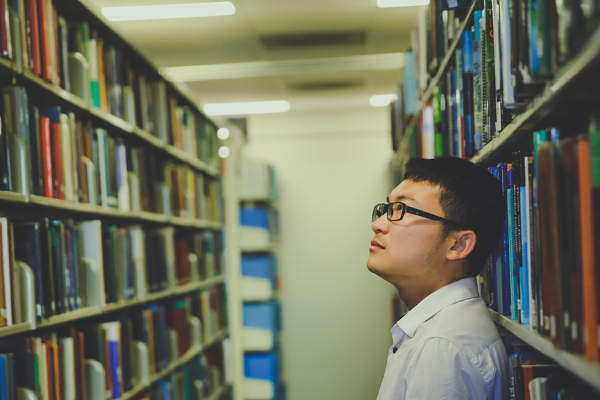 学校网站开发与设计，构建智慧教育的新平台，学校网站开发与设计方案