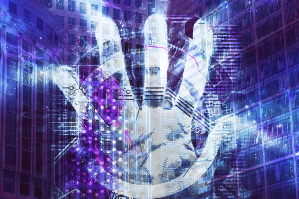 信息安全顾问视频，探索数字时代的守护者